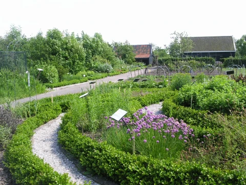 Bij tuinles 14 gebruik van kruiden
